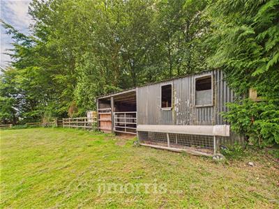 Paddock/Sheep Shed